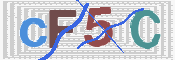 画像認証